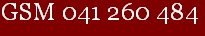 GSM041 260 484